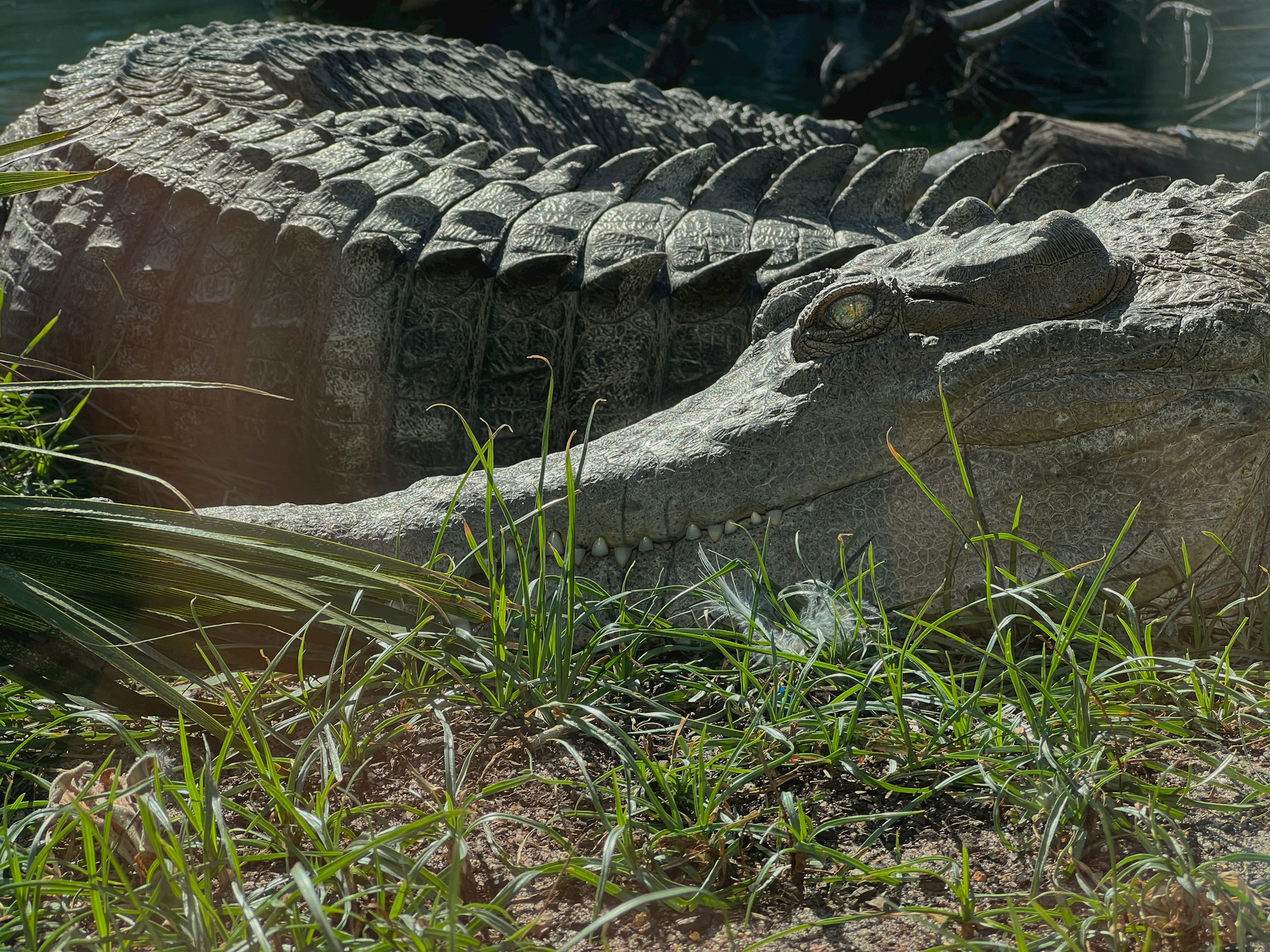 Read more about the article The Most Dangerous Animals You Really Shouldn’t Trifle With